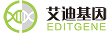 基因敲除細(xì)胞/點(diǎn)突變/文庫(kù)篩選/CRISPR檢測(cè)_球盟会生物基因【官網(wǎng)】